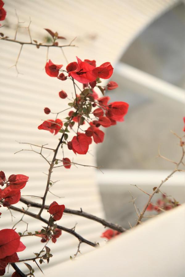 Hotel Harmony Sarandë